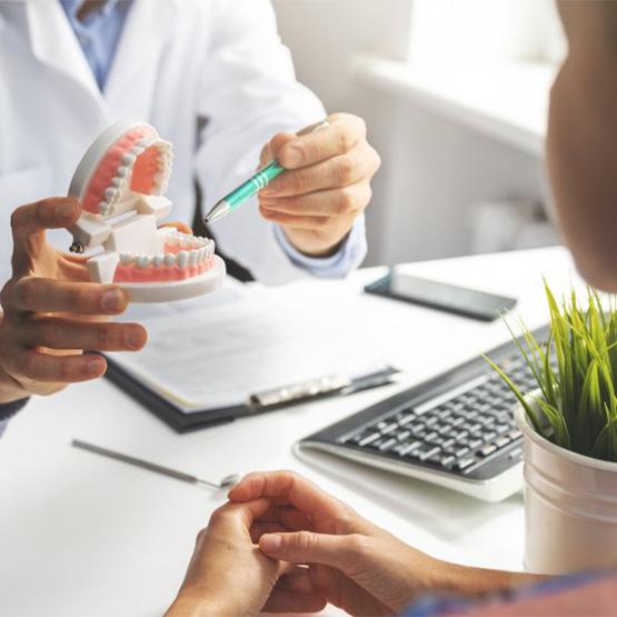 A dentist holding a model of teeth for a patient